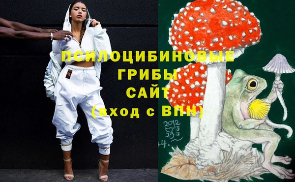 стафф Володарск